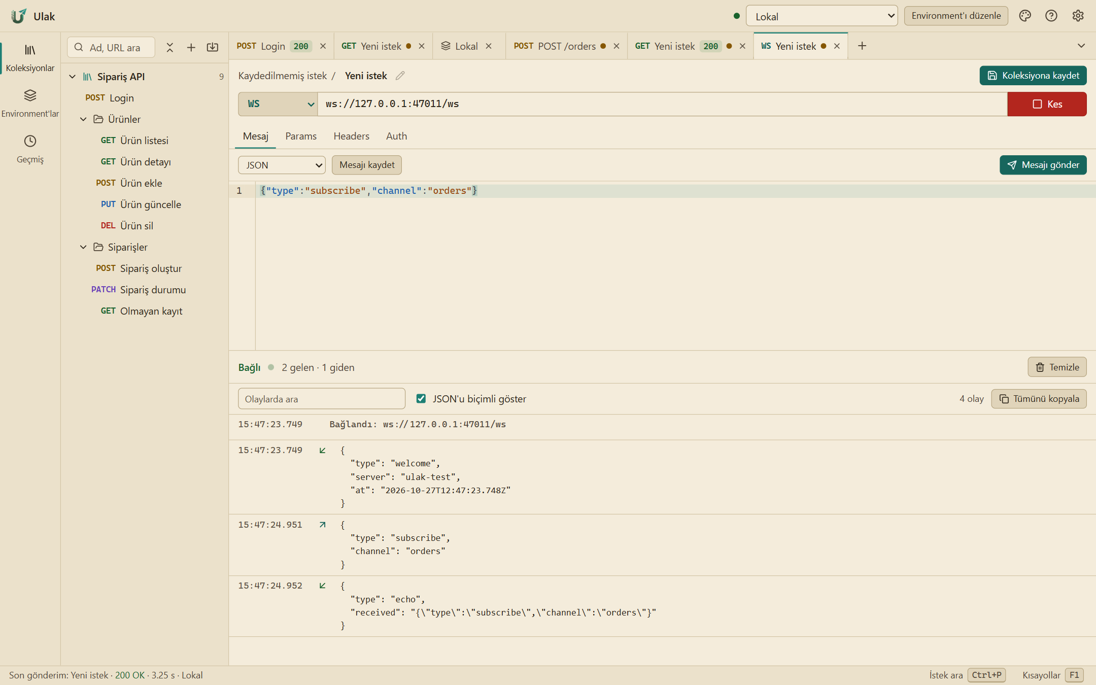 WebSocket bağlantısı: gönderilen ve gelen mesajlar